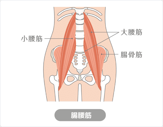 腸腰筋